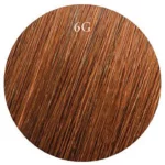 Chestnut - 6G