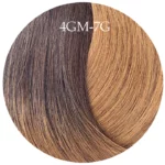 Ombre - Warm Mocha Melt - 4GM-7G